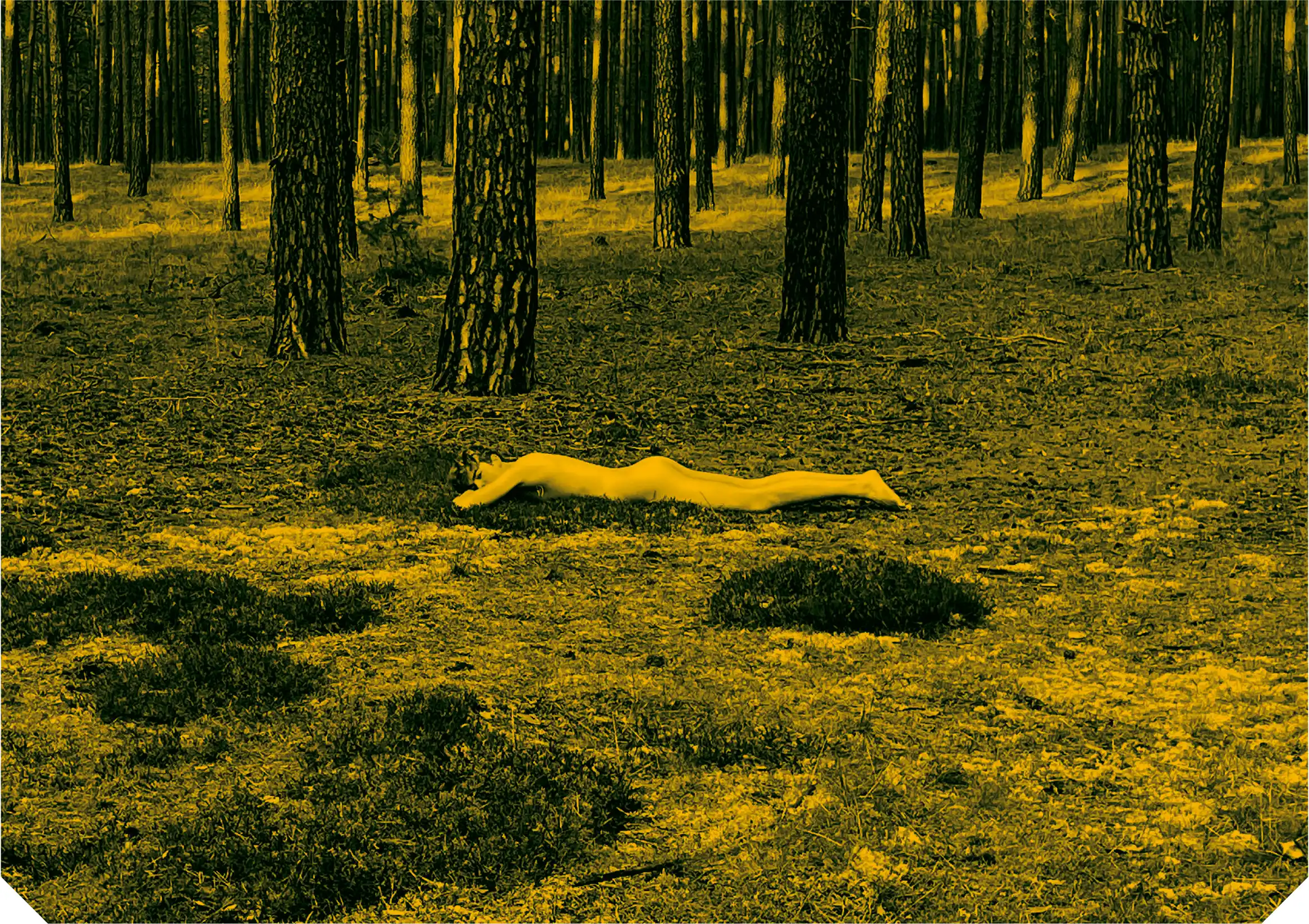 Detailbild Un peu beaucoup (gialloro)