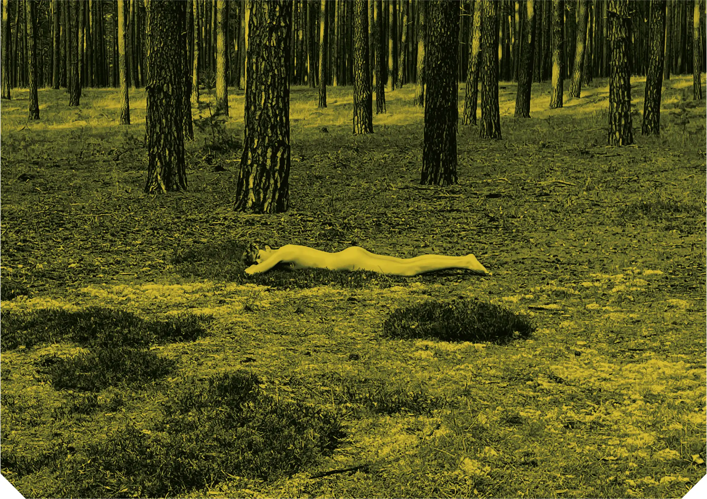 Detailbild Un peu beaucoup (limone)