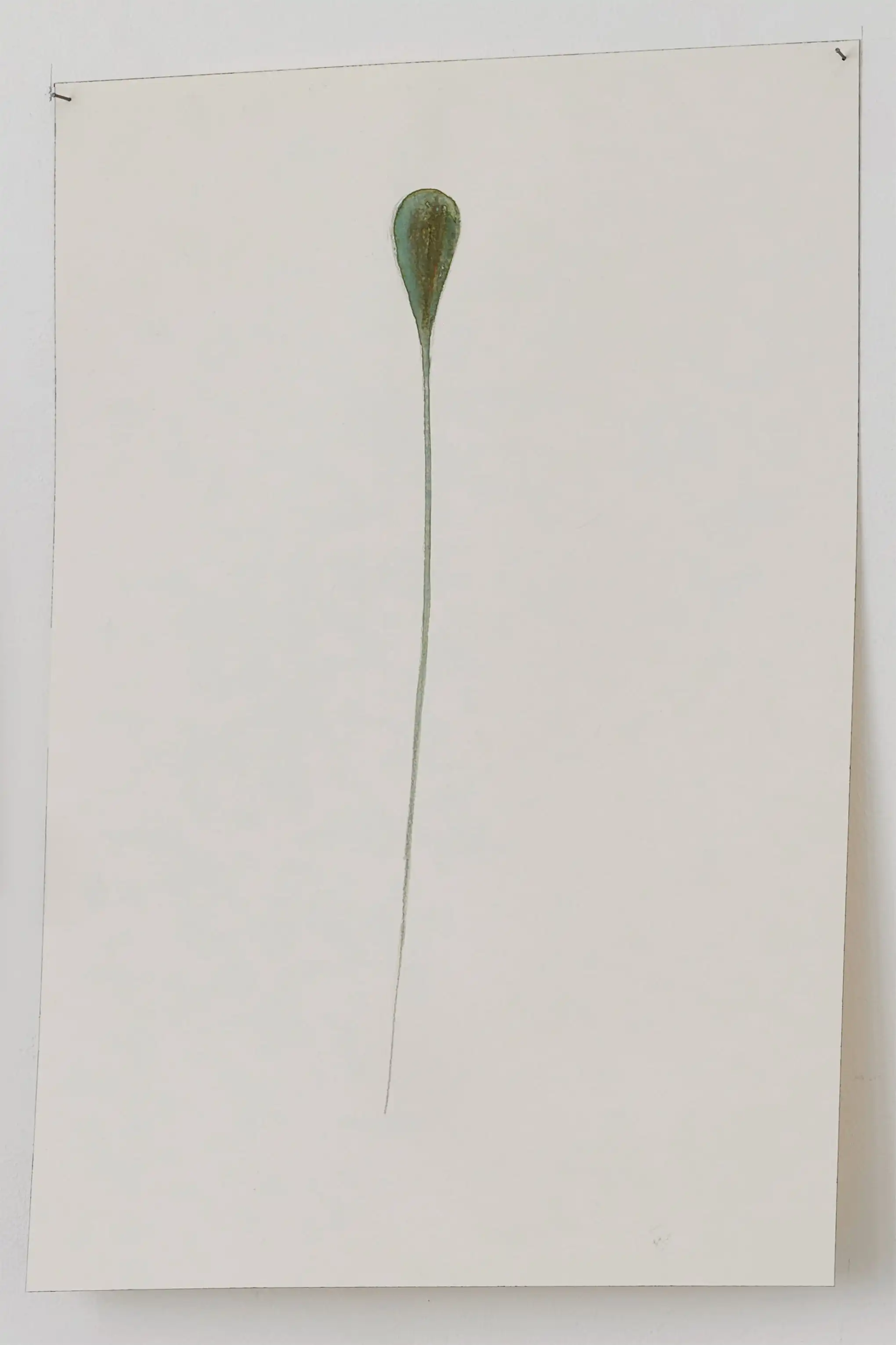 Detailbild STUDY FOR ACAPULCO & ACAPULCO